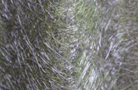 Ide Hill fibreglass roof work